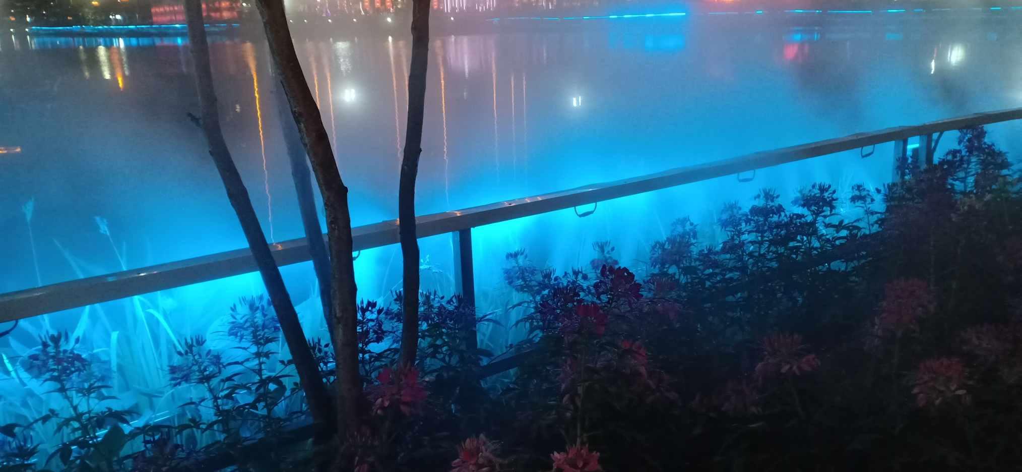 燃烧吧大脑装瓶子游戏